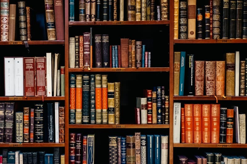 Galway — Charity shop