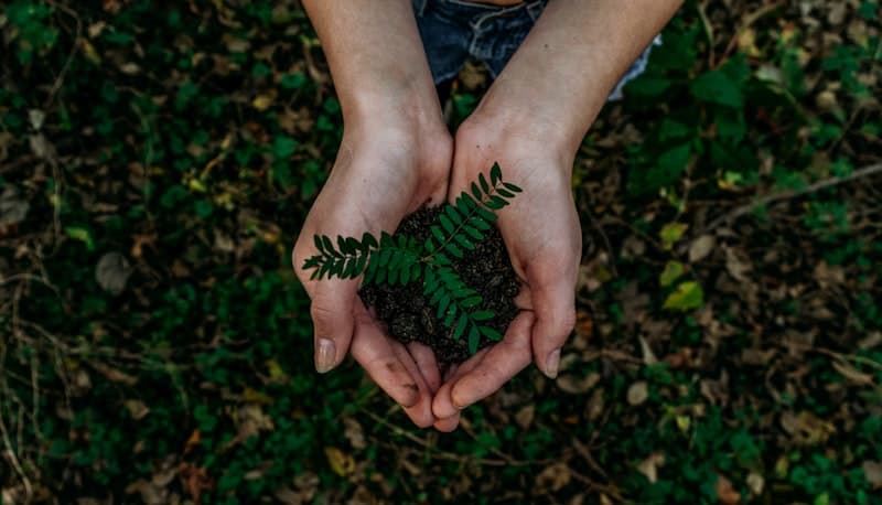 Limerick — Sustainable living