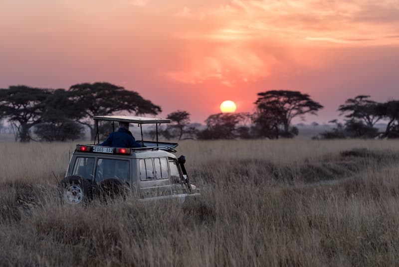 Kenya — Wildlife conservation