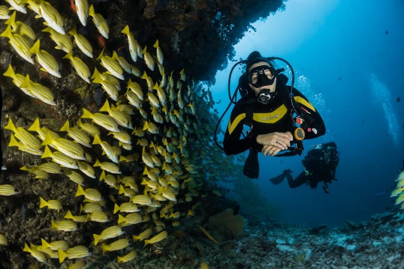 Vanuatu — Island school